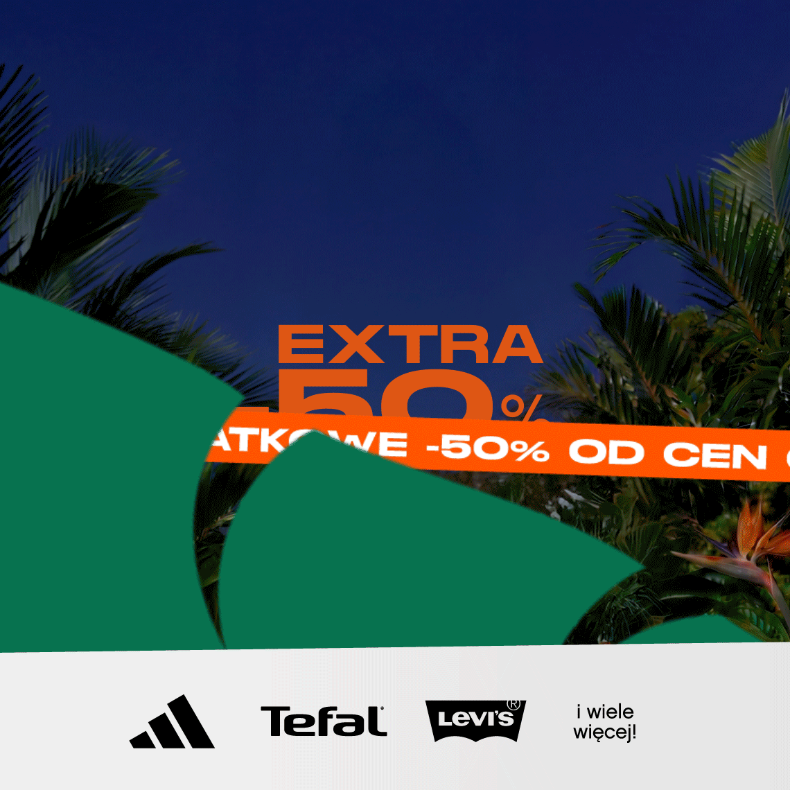 gif z informacjami o  jungle night