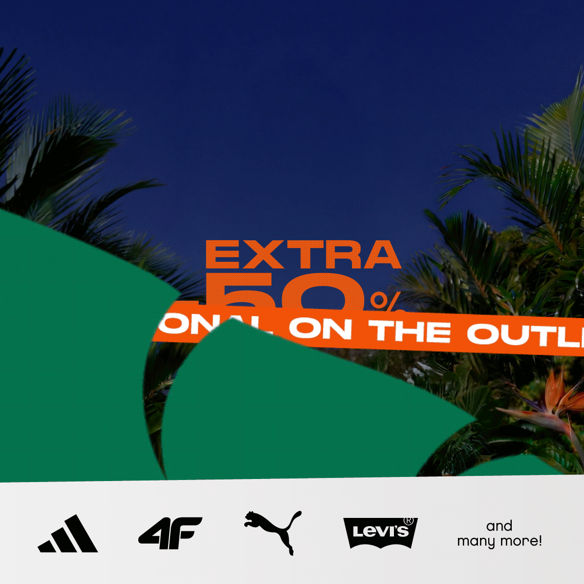 gif with informations about jungle night