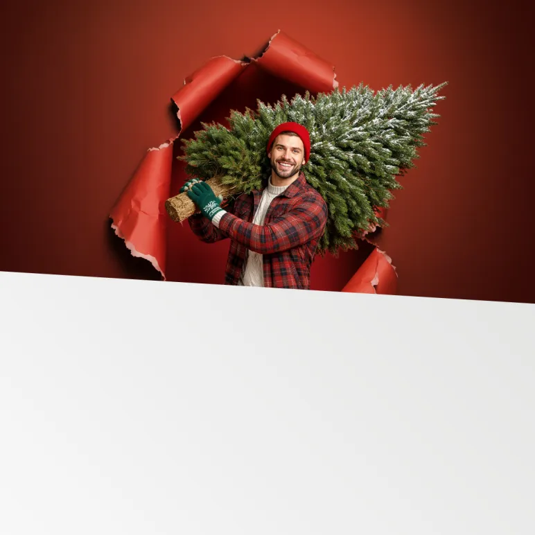 mężczyzna niosący choinkę