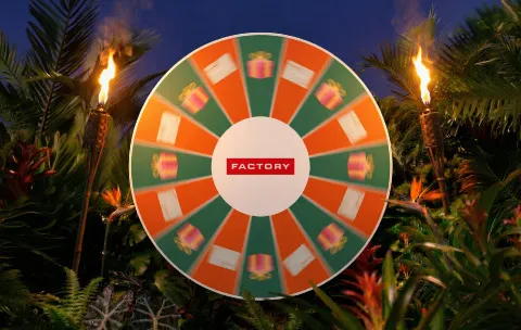 koło fortuny jungle night